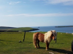 Shetland