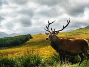 Cumbria & the Lake District