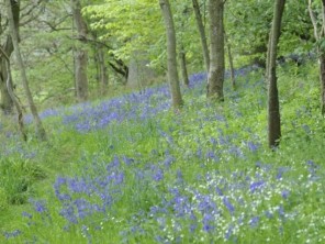 Glasgow & The Clyde Valley