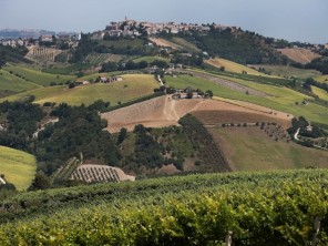 Le Marche