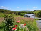 2 bedroom Chalets / Lodges near Llandrindod Wells, Powys / Brecon Beacons, Wales