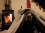 Your four-legged friend will feel at home in front of the fire Your four-legged friend will feel at home in front of the fire