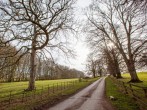Head up the tree lined lane to the property Head up the tree lined lane to the property