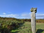 Explore the designated Site of Special Scientific Interest at Kenfig Explore the designated Site of Special Scientific Interest at Kenfig