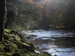 Beautiful streams and rivers to explore on Dartmoor