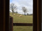 Cottage in Abergavenny, Monmouthshire (79734) #11