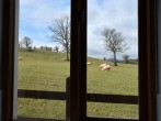 The view from the kitchen window across grazing land to Sugar Loaf Mountain