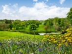 Enjoy beautiful walks in the grounds of the estate Enjoy beautiful walks in the grounds of the estate