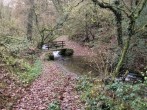 Woodland walks which can be accessed straight from the farmhouse Woodland walks which can be accessed straight from the farmhouse