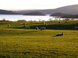 Loch Lomond, Stirling & the Trossachs